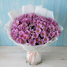 Букет цветов из:  Хризантемы в Сигаево