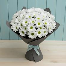 Букет цветов из:  Хризантемы в Сигаево