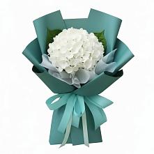 Букет цветов из:  Гортензия в Сигаево